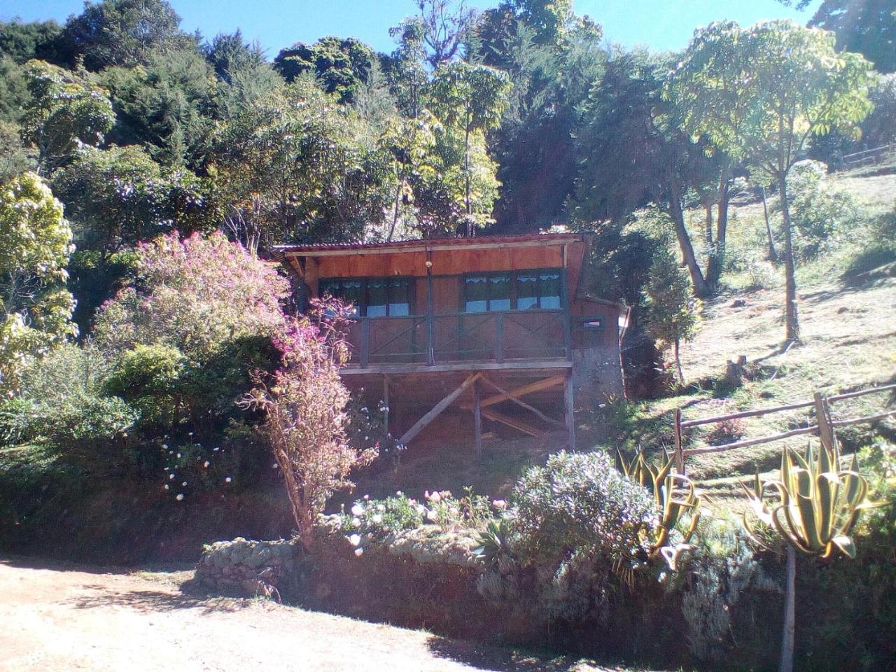 Las Cataratas Lodge San Gerardo de Dota Exterior foto